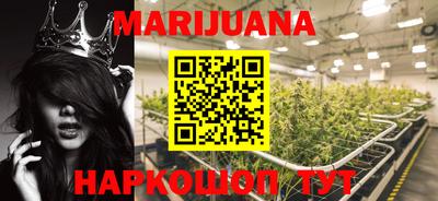кокс Можга
