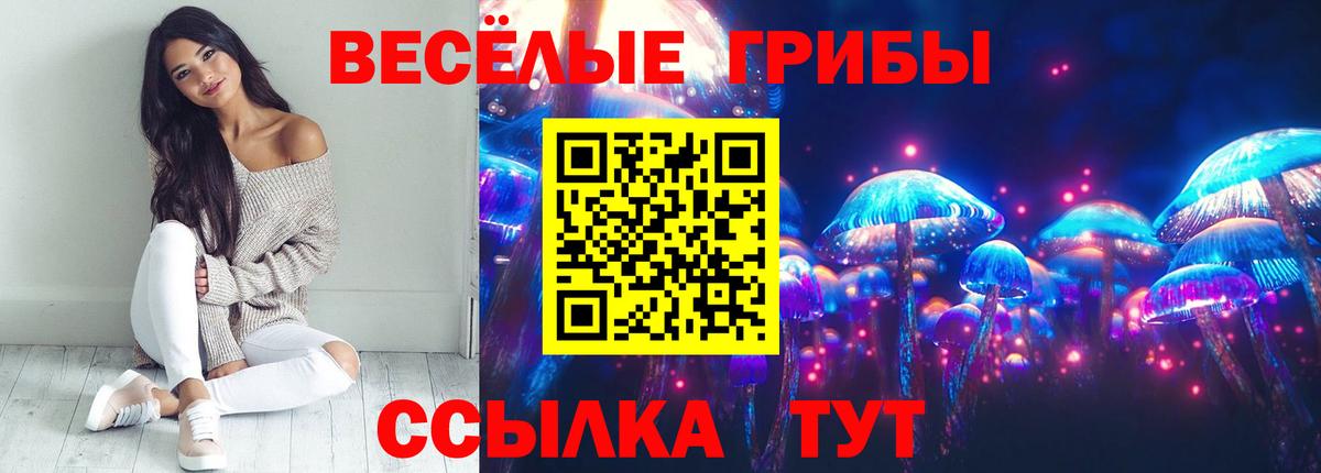 Псилоцибиновые грибы Magic Shrooms  Вход с VPN  Дмитров 